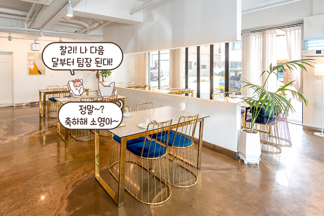쾌적한 소규모 레스토랑