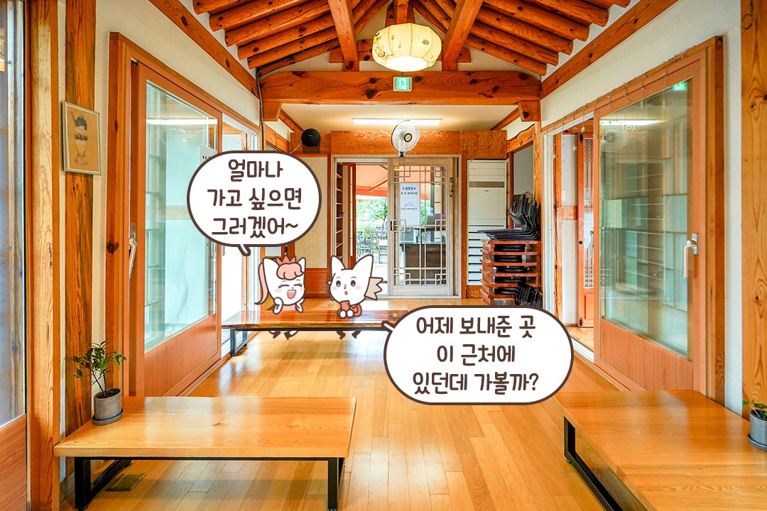 파릇파릇한 식물과 한옥의 조화