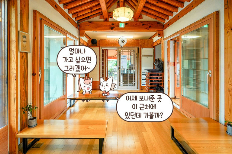 파릇파릇한 식물과 한옥의 조화