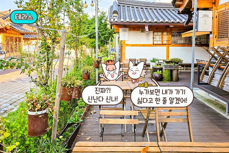 파릇파릇한 식물과 한옥의 조화