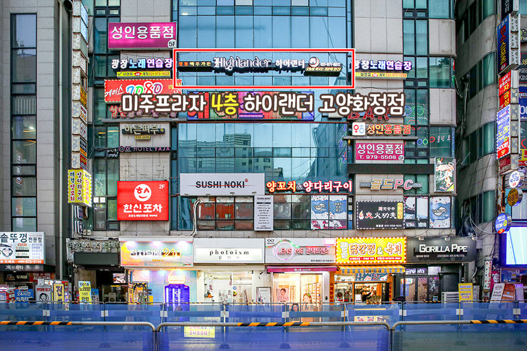 맛있는 식사 후 산책 데이트로 마무리🧑‍🤝‍🧑