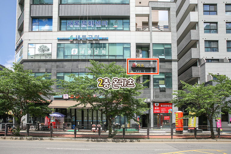 돈카츠 투어 성공 🚌