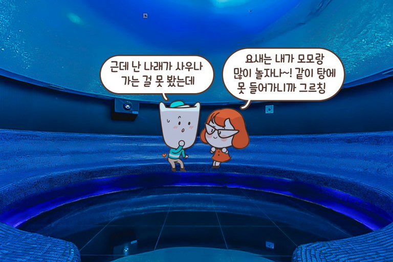 겨울에도 문제없이 🌨