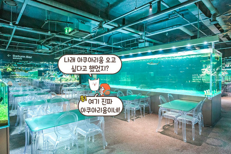 여기도 물고기, 저기도 물고기! 사방에 가득