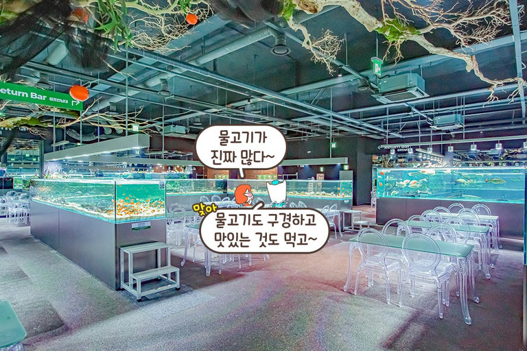 무려 1,000평 규모의 넓디넓은 공간(˶> <˶)♡