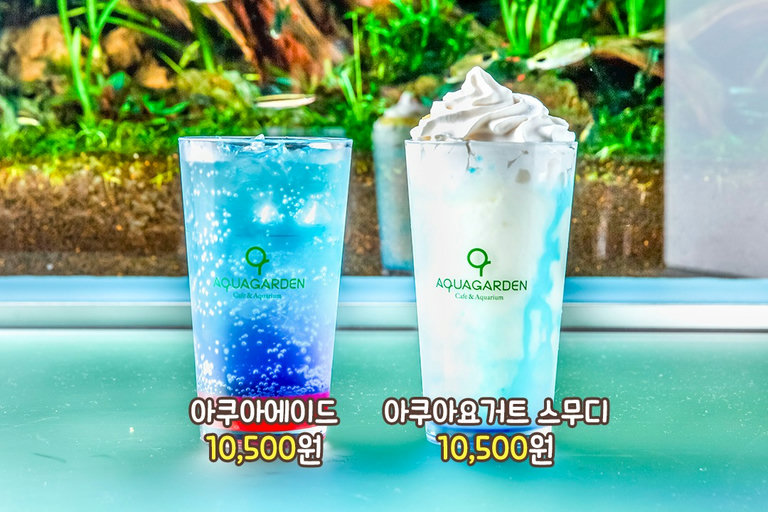 도톰한 연어 가득한 샐러드와 예쁜 음료까지