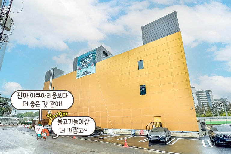 귀여운 물고기들과 함께 행복한 시간을