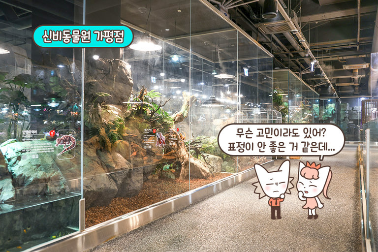 동물들에게 최적의 환경을 제공하기 위한 노력