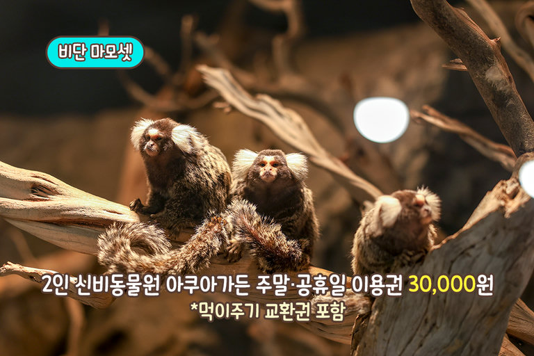 조금 더 깊은 설명을 원한다면👍