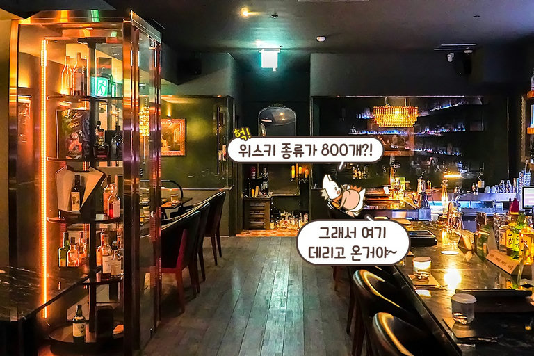 위스키 종류만 무려 800개!😳