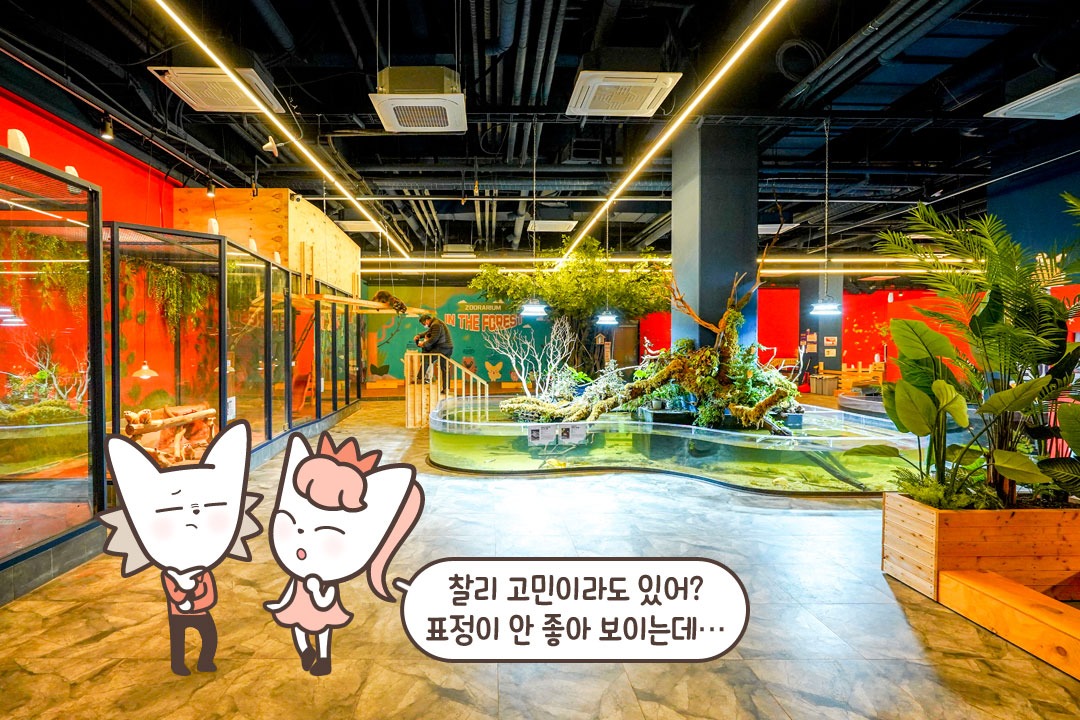 동물원 + 아쿠아리움 = 쥬라리움 하남점❤️