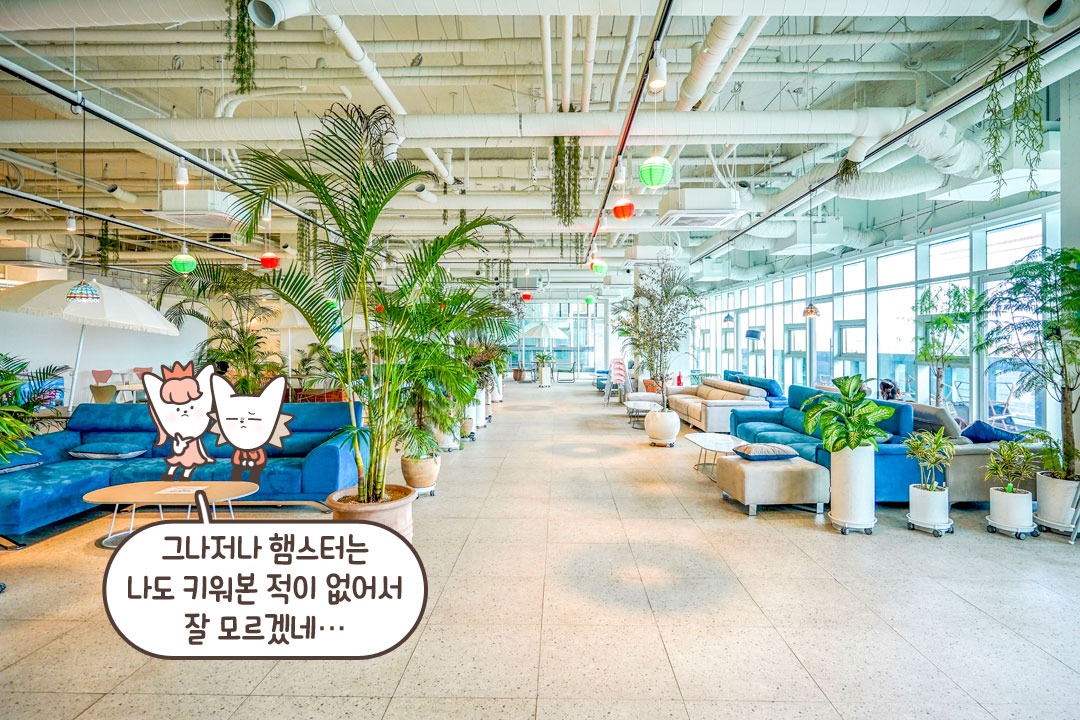 파릇파릇한 식물이 가득한 카페