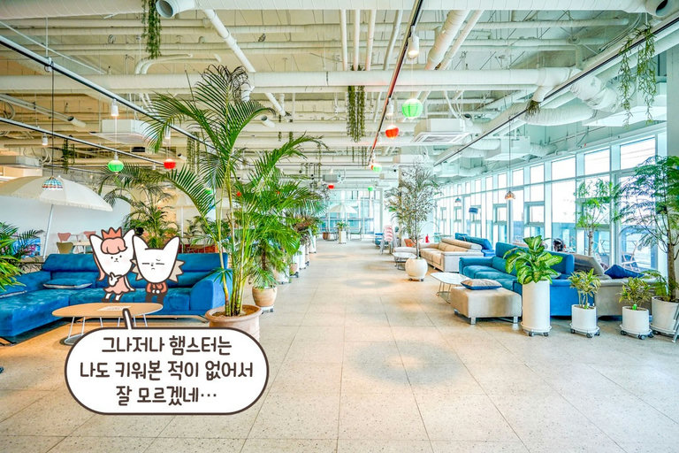 파릇파릇한 식물이 가득한 카페