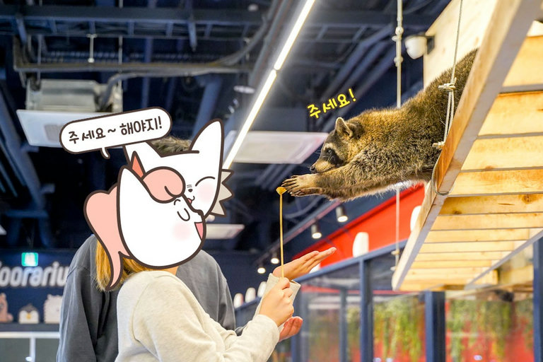 간식으로 조련하기