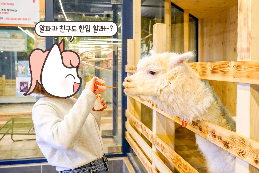 귀여움에 빠져 간식을 잊어버리다!
