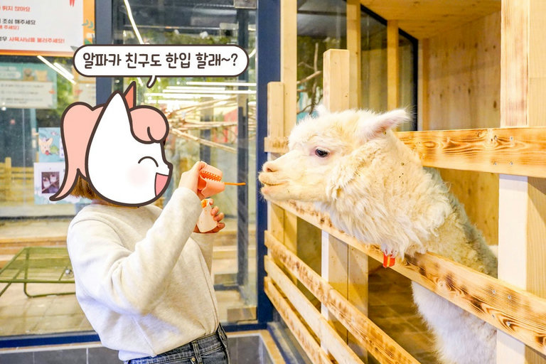 귀여움에 빠져 간식을 잊어버리다!