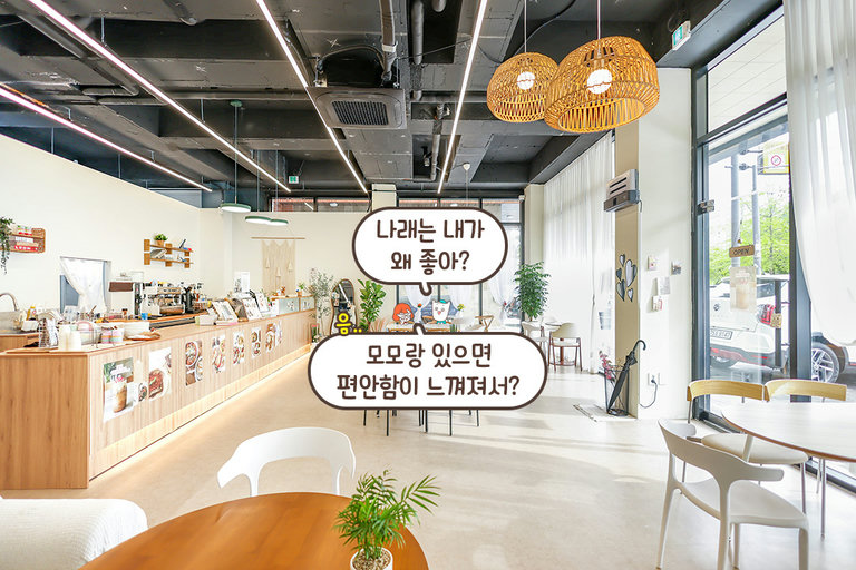 들어서는 순간 마음까지 포근해지는 공간🤍