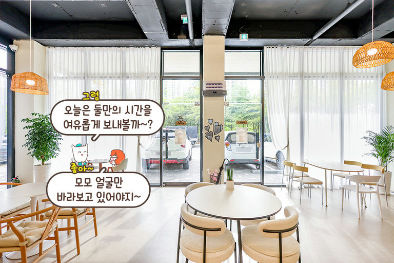 통창 너머로 쏟아지는 눈부신 햇살 맛집☀️
