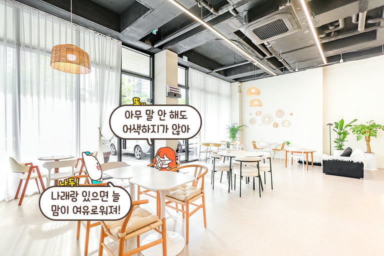 통창 너머로 쏟아지는 눈부신 햇살 맛집☀️