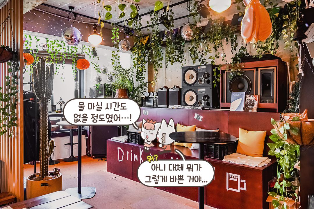 음악과 감성이 함께 흐르는 특별한 공간