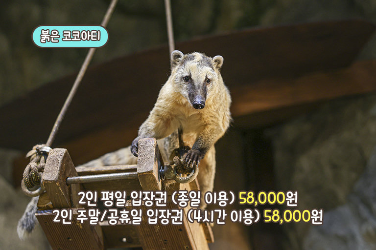 너무 사랑스럽게 자고 있는 거 아닙니까!