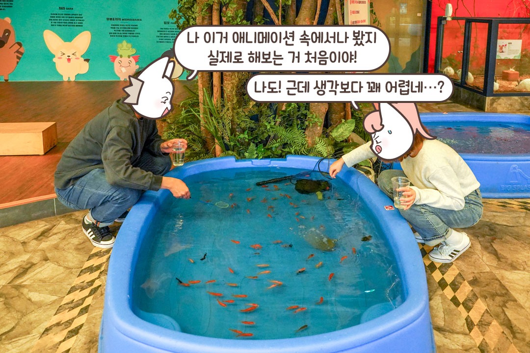 금붕어! 너 나랑 우리 집 가자!