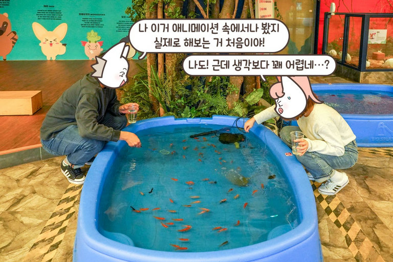 금붕어! 너 나랑 우리 집 가자!
