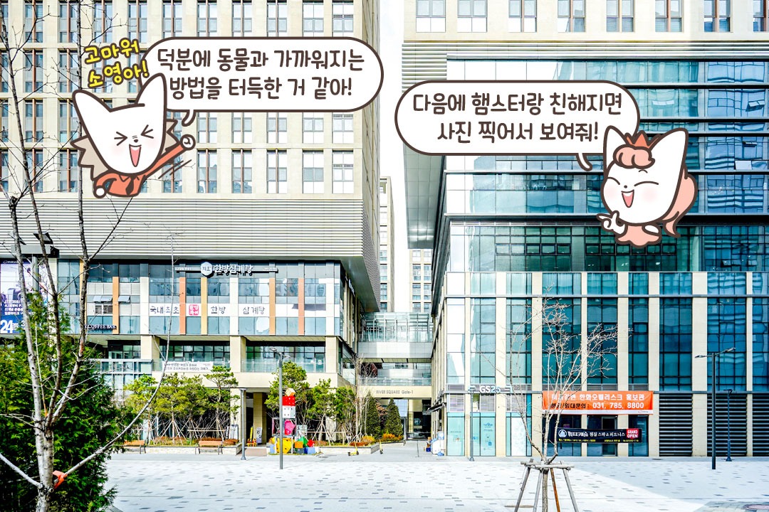 동물과 교감하고 싶을 때