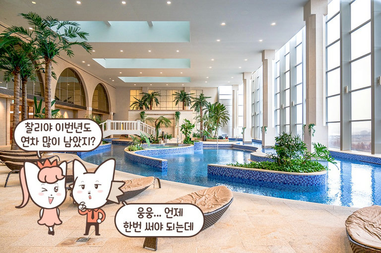 해외의 휴양지를 그대로 만끽🌴