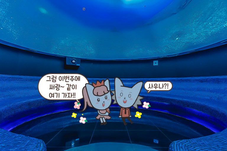 🏖가 좋아? 🏔이 좋아?