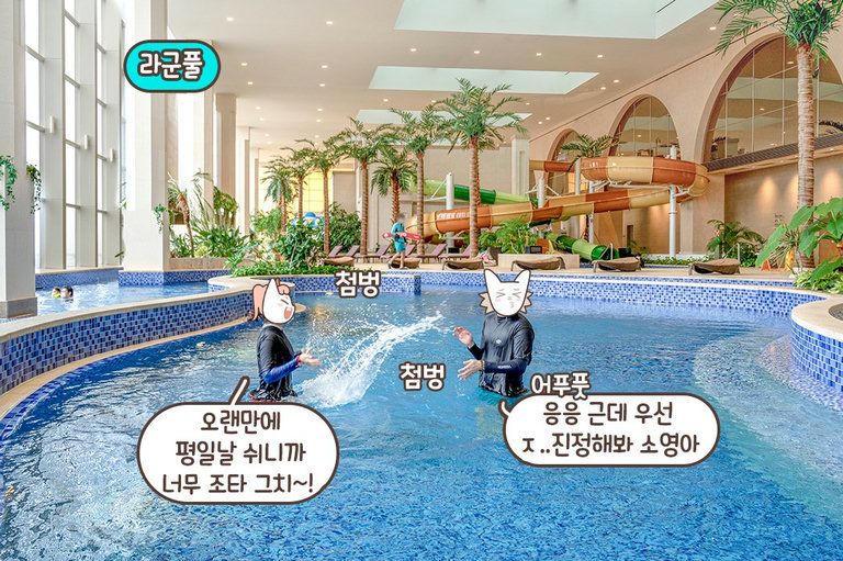 워터파크 내부🔍