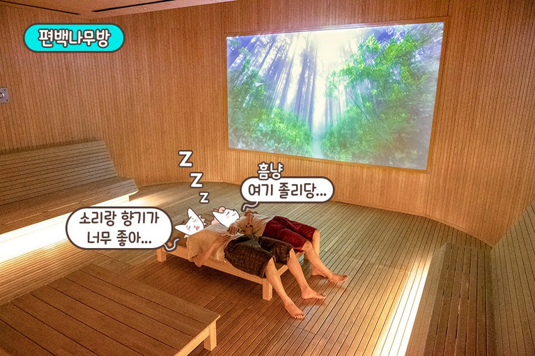 자연속에서 잠들다😴