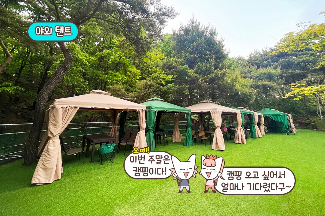 숲내음이 가득한 숲길