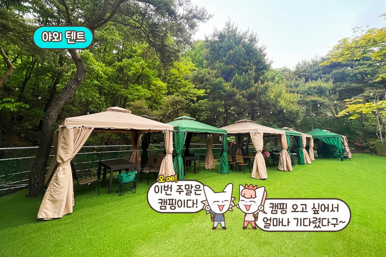 숲내음이 가득한 숲길