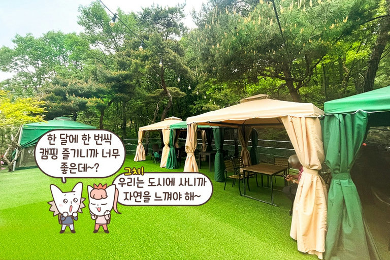 숲내음이 가득한 숲길