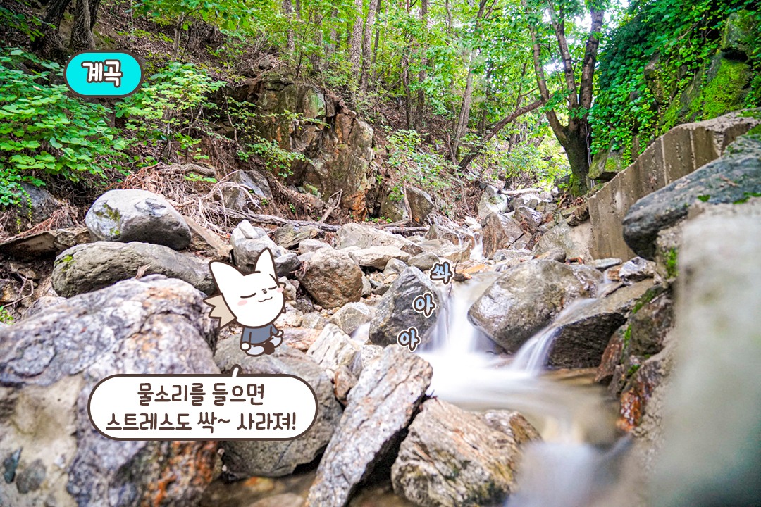 자연의 소리로 가득찬 곳💦