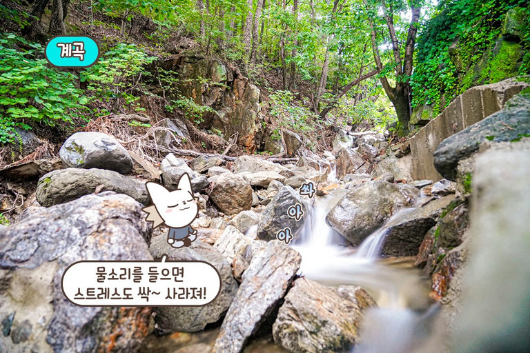 자연의 소리로 가득찬 곳💦