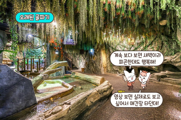 동물과 어울리는 테마를 가진 공간✨