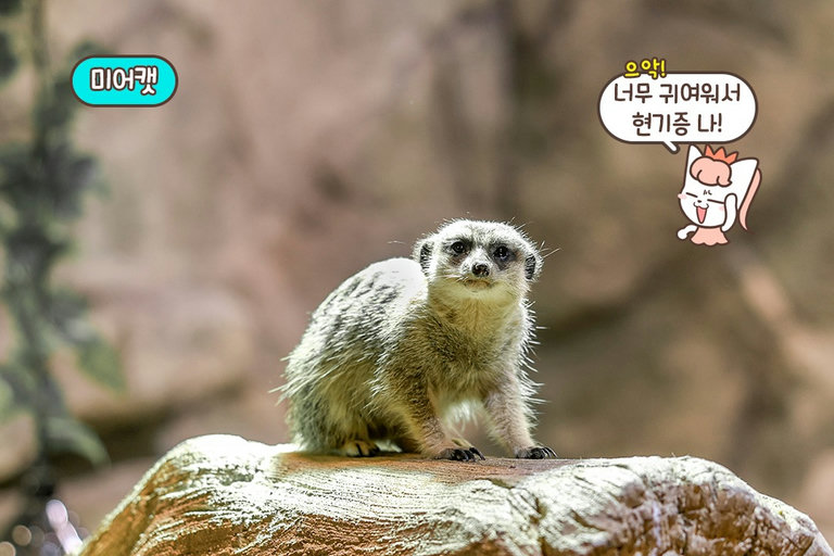 평소 접해보기 힘든 동물 친구들이 한자리에😮