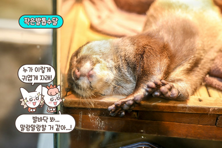 너무 사랑스럽게 자고 있는 거 아닙니까!