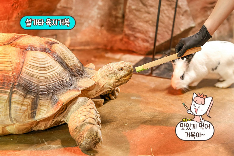 조금 더 빠르게 친해지고 싶다면