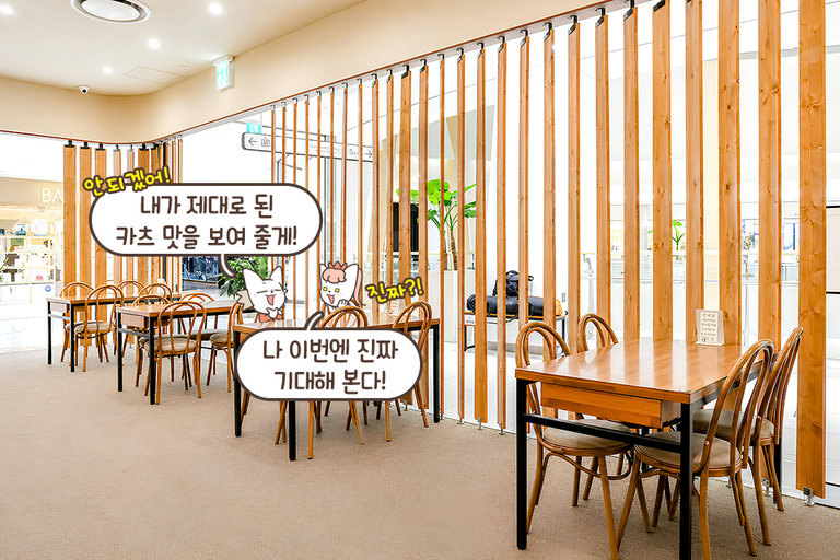 위생 점수 만점💯 믿고 먹는 '요시카츠'