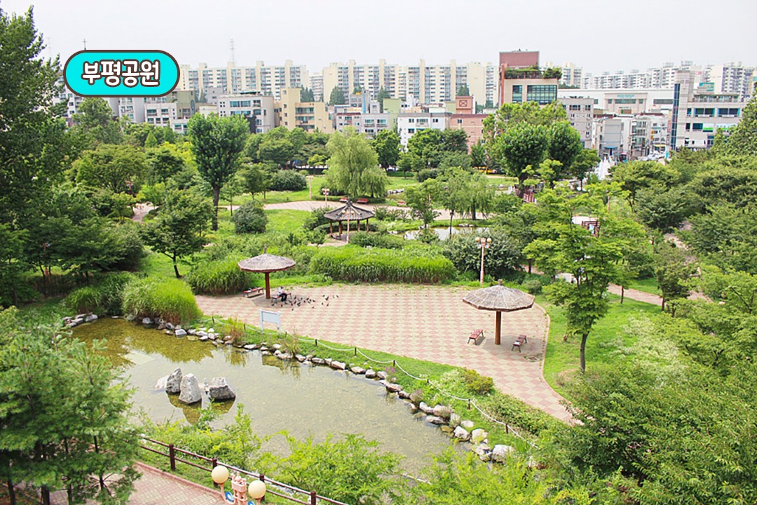 나만 알고 싶은 식당