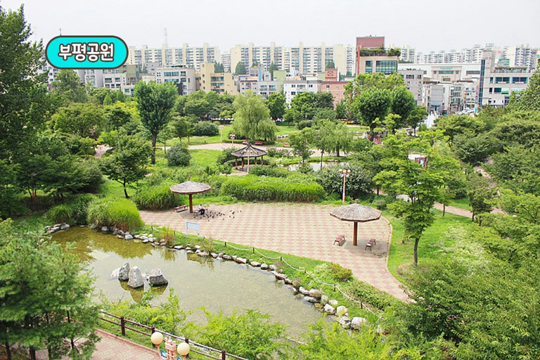 나만 알고 싶은 식당
