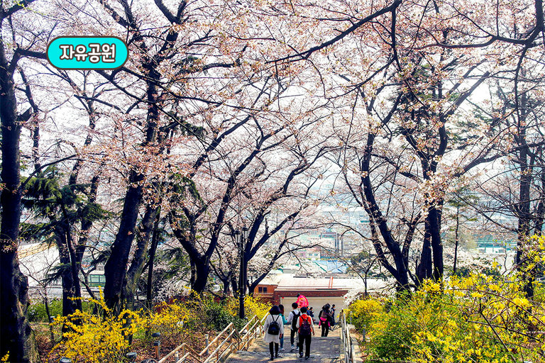 자유공원 산책까지 알차게 즐겨요