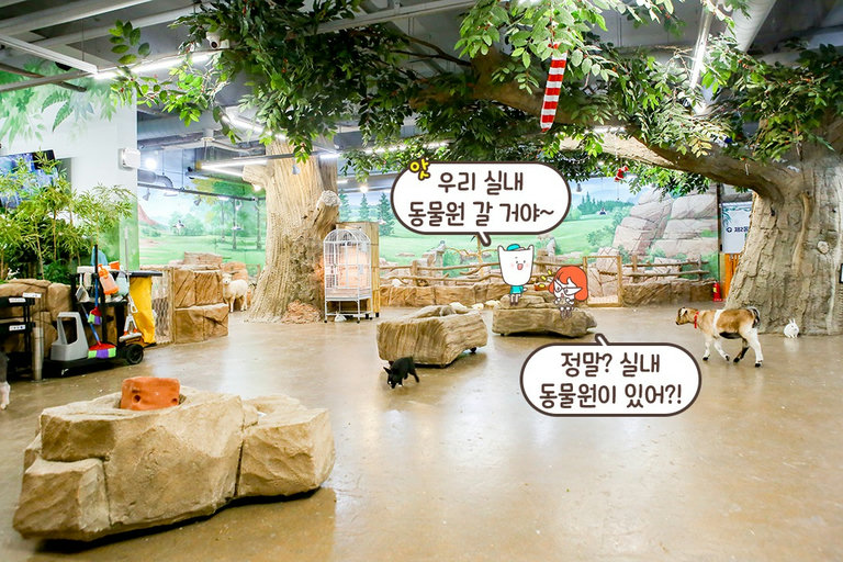 일반 동물원과는 차원이 다른 곳