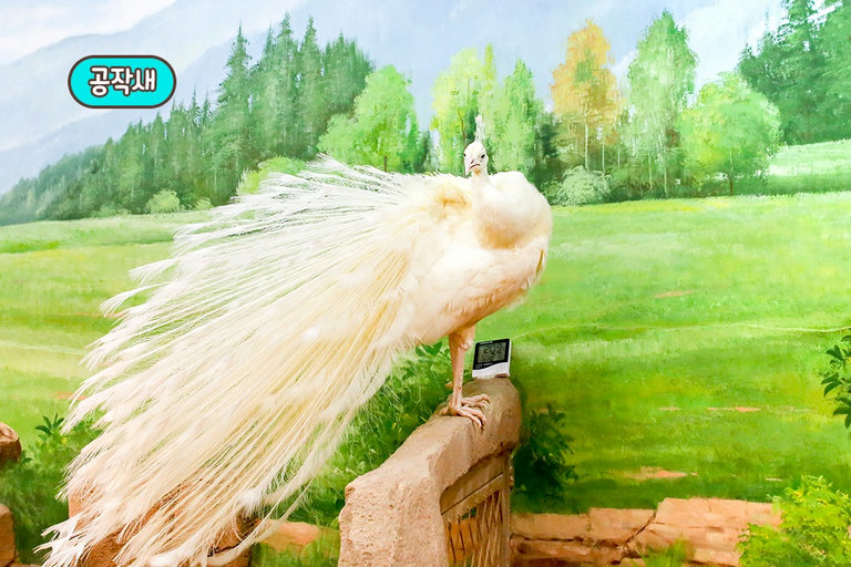 조류와 어류까지💦