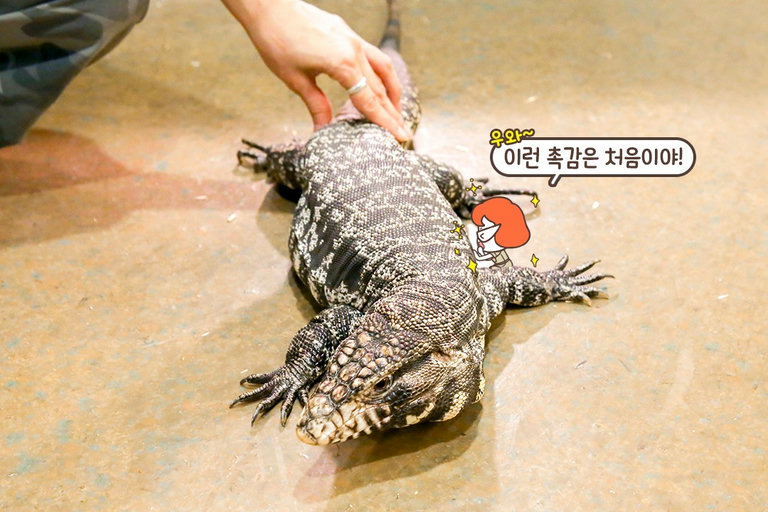 이렇게 가까이서 볼 수 있다니😎