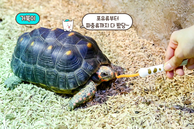 평소에 보기 힘든 곤충도 있다구😉