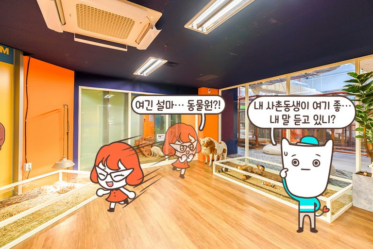 내가 원했던 곳이 아...아....바로 여기야!